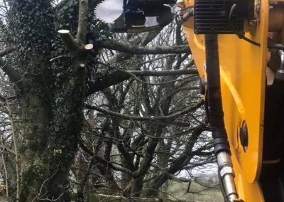 Close up image of the Slanetrac HS75 JCB Saw Head attachment cutting a hedge